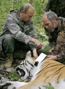Putin: Der Mann der den ersten Tiger in den Tank bekommen hat.